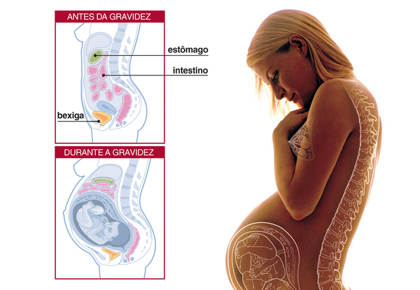 Como emagrecer depois do parto como perder peso apos a gestacao mamae sarada pos-parto perda de gordura depois da gravidez 
